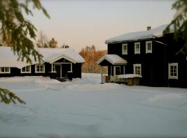 Försgården Fjällpensionat，位于Transtrand的酒店