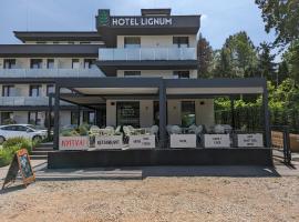 Lignum Hotel，位于米什科尔茨道波曹的酒店