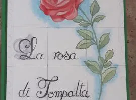 La Rosa di Tempalta