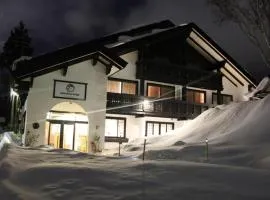 白马村雪线山林小屋