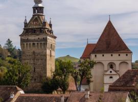 Castle View Saschiz - Traditional Guesthouse，位于Saschiz的酒店