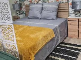 Chez Karine - Appartement