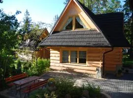 Regionalny Domek pod Skocznią