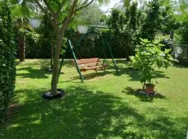 Apartman MN