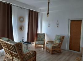Tina Guest House，位于Basarabi的酒店