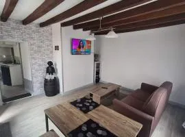 Petite maison cosy wifi avec terrasse