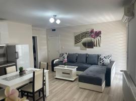 Apartmani Vrla，位于弗拉迪钦汉的酒店