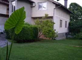 Centrala 2