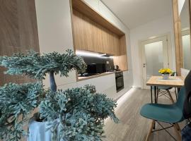 Perfect Host Palas Studio Central，位于雅西的酒店