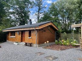 Le chalet du Hélivy，位于雅莱的酒店