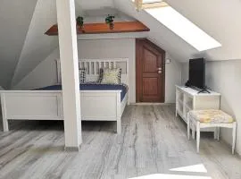 Wodna Ostoja z pokojem zabaw nad jeziorem