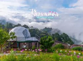 ไร่สายหมอก