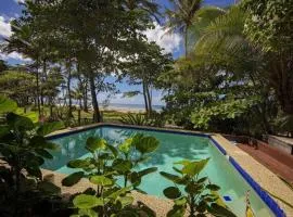 Gecko's Cottage - Absolute Beachfront