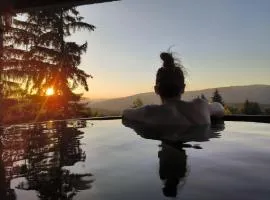 Alpina Deluxe Panoramic