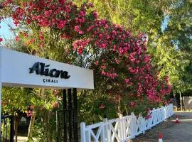 Alicra Hotel Çıralı