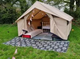 Glamping in style, Prospector Tent