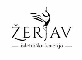 Turistično - Izletniška kmetija Žerjav，位于布雷日采的酒店