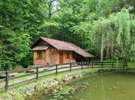Cottage by the pond Pavel，位于Šmarje pri Jelšah的酒店