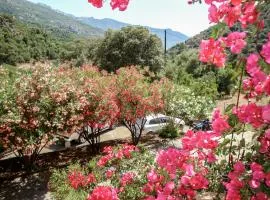 Studio Residence Cabanaccia Studio 38m² by Interhome