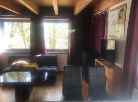FLATS 2 RENT，位于伊姆斯特的酒店
