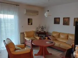 Guest House Planinic