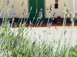 La Casina di Nonno Enzo，位于芬奇的酒店