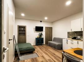 Studio apartment Joanna，位于里耶卡的酒店
