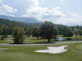 SPECIAL RATE Golfer's Paradise & 10 Minutes to Rocky Top Sports，位于加特林堡的乡村别墅