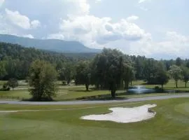SPECIAL RATE Golfer's Paradise & 10 Minutes to Rocky Top Sports