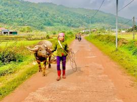 So Farm Mộc Châu - Homestay view núi rừng，位于木州县的酒店