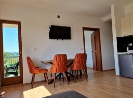 Ime Ruze apartmani Banja Vrujci，位于Gornja Toplica的度假短租房