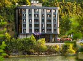 The Old Apprentice，位于Ardeşen的酒店