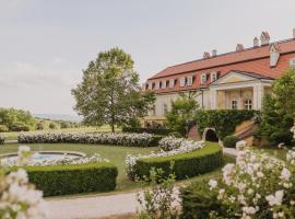 Hotel Château Bela，位于Belá的乡间豪华旅馆