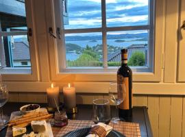 The View Guesthouse at Ekeberg -10 min by tram to Oslo S，位于奥斯陆的度假短租房