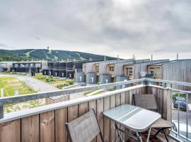 Meadows Apartments Klínovec，位于卢捷纳普德克利诺夫琴的酒店