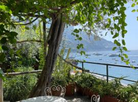 La Dolce Vita a Positano boutique hotel，位于波西塔诺的酒店