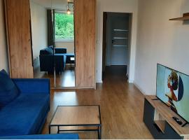 Apartament Broniewskiego 50m Centrum Nowy Sącz，位于新松奇的酒店