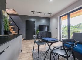 Apartament w Dolinie Sanu，位于莱斯科的酒店