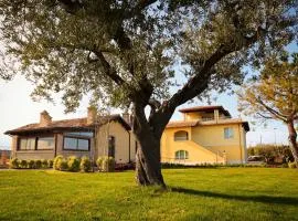 Agriturismo BioCore 2 - Colledoro