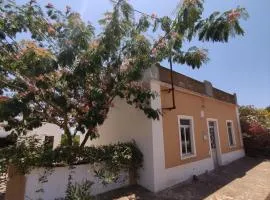 Traditional Rural House - Algarve