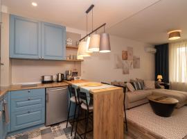 Central Sofia Condo