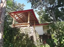 Mona‘s Tiny Djungle House