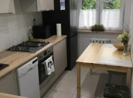 Apartament Centrum