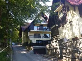 Apartament Kalinderu K3 Busteni