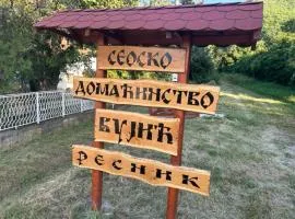 Seosko domacinstvo Vujic Sokobanja Resnik