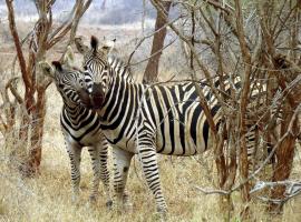 Ndlovu Log Home Dinokeng，位于Klipdrift的别墅