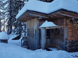 Almhütte - Skihütte am Goldeck in Kärnten，位于Baldramsdorf的酒店