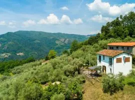 Idyllic Holiday Home in Pescia with Swimming Pool