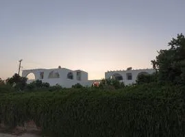 Andreana's House