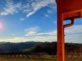 Ruralna kuća za odmor Julijana，位于Štrigova的酒店